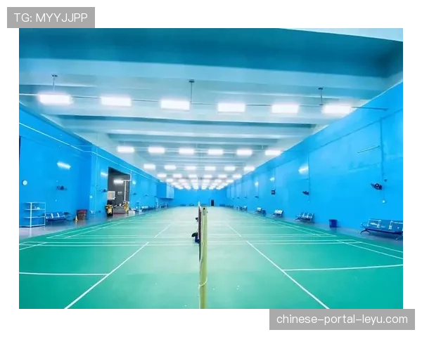 拉斯维加斯新球馆建设获批，为潜在扩军球队做准备