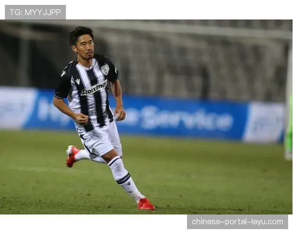 动态:多家德甲俱乐部宣布加入“气候友好联赛”倡议,承诺评估赛事碳足迹